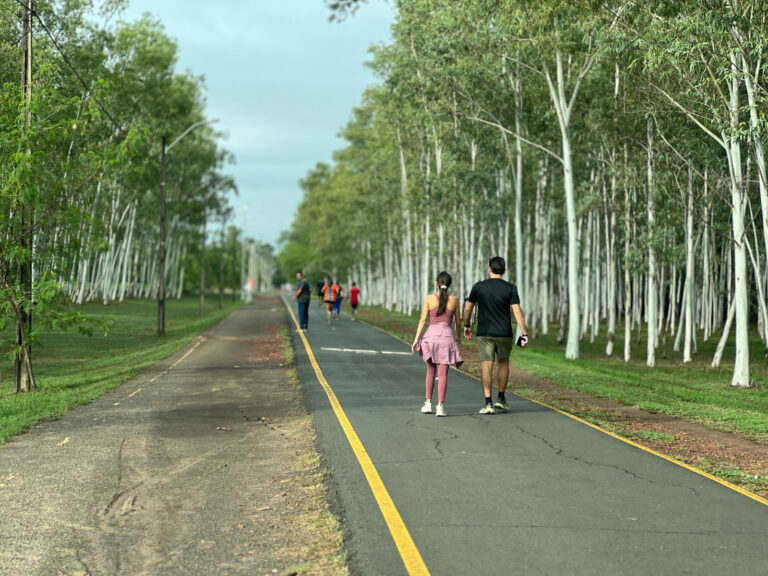 Parque Ñu Guasu
