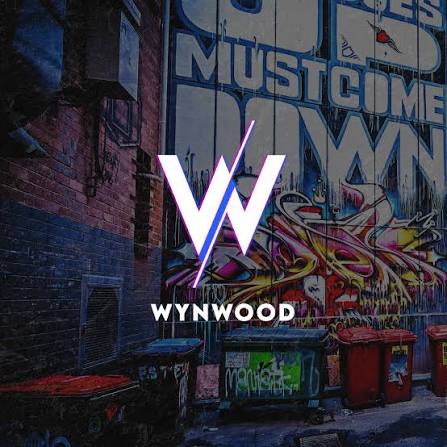Wynwood Asunción · Discos